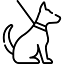 Pristine O2 World